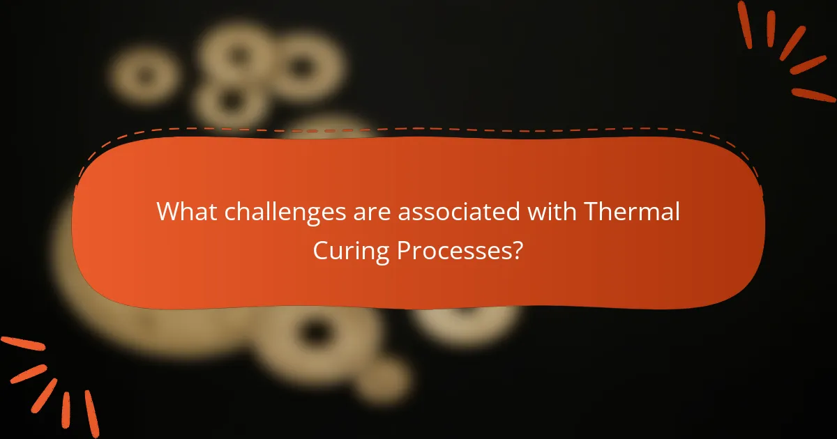 What challenges are associated with Thermal Curing Processes?