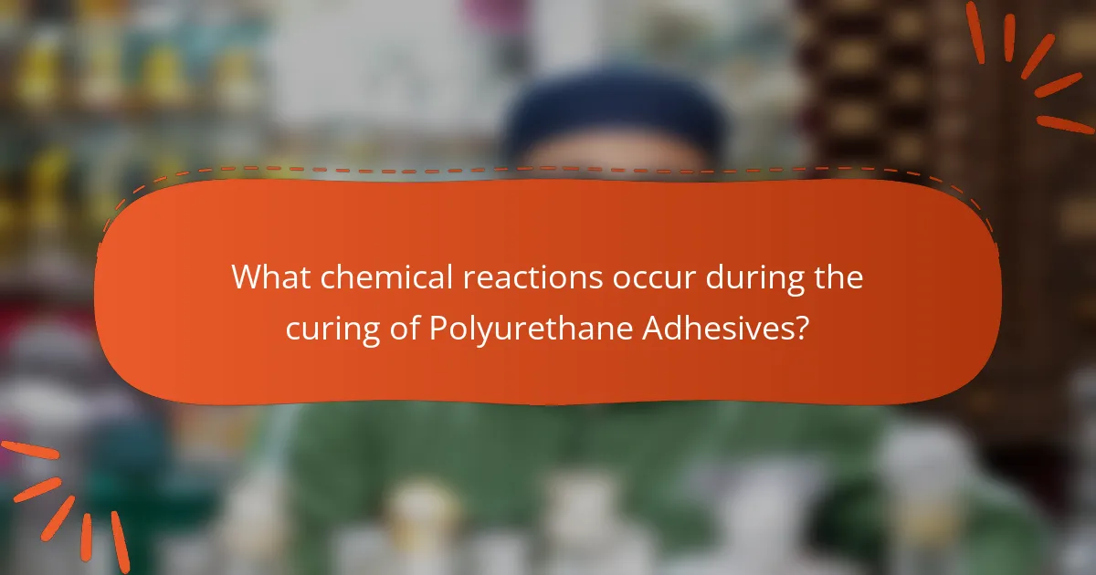 What chemical reactions occur during the curing of Polyurethane Adhesives?